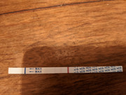 MVIMG_20201122_045528