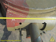 IMG-9986