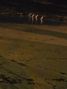 https://i.postimg.cc/4mMcrHn5/20260223-210509.jpg