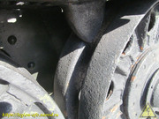IMG-5487