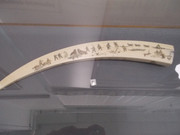 DSCN0638
