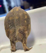 32e11a849a2b250d15f2dc59ac15914e9f51a0b11a7858370246cf29ab9485e0