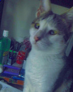 2017-03-10 11.20.49 1467617400837280460_338237262