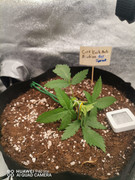 WhatsApp Image 2025-09-19 at 22.05.17