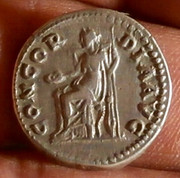Denario de Sabina. CONCORDIA AVG. Concordia sedente a izq. Roma. 242-FA95-D-1-AFC-4-B40-9117-8-B683948184-A