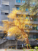 photo 1 2025 12 27 21 08 38