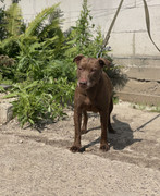 IMG_20230706_153130_049