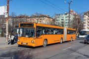 IMG-5698