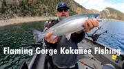 [Image: Flaming-Gorge-Kokanee-Fishing-Thumbnail.jpg]