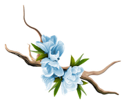 GlamourGirl_MM_Element (140)