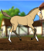 3D24F7B2-B5AC-4D48-83D8-C55208A68F68