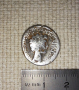 Denario gens Antonia. CAESAR. IMP. PONT. III. VIR. R. P. C. Busto desnudo de Octavio a dcha. Éfeso. 20231003-212040-0
