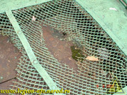 DSCN0146