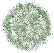 TADD-elements-Last-Dance-In-Paris-10