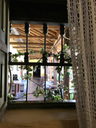 IMG-8496