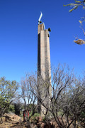 DSC-0014