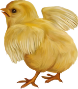 0-1c0104-a46a8718-orig