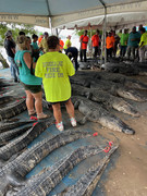 A4205674-6134-4EAE-9C64-40935A8B984C