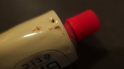 batch-IMG-1437