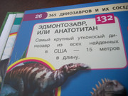 https://i.postimg.cc/4n6vmrJc/100-8079.jpg