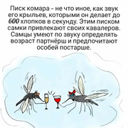 https://i.postimg.cc/4n7KPrgx/152.png