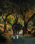 DD Oneria- Full_20250319183935