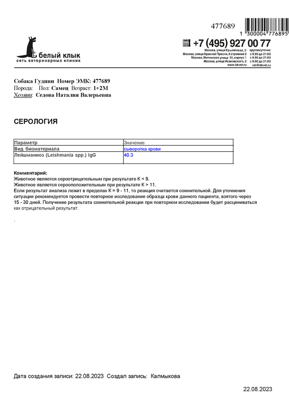 Серология - Собака Гудини - #47768941ABBD304A924E4D98C9ADEC13C1951D