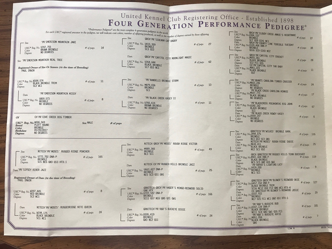 ukc plott classifieds