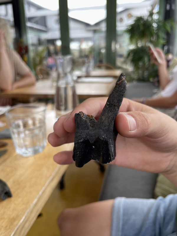 8DB281CE-B794-4EA3-BED2-7107B9C7958C