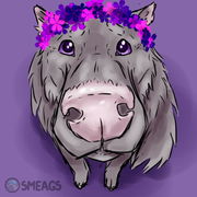 Untitled1846-20250328181207