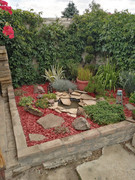 IMG-20200526-080345