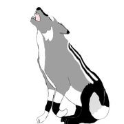 0e3e509b-5d66-42ed-a08a-3058e15e24c8