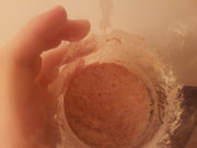 Levain 2 - 16h after refeed