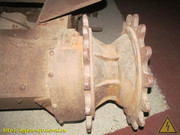 IMG-6036