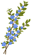 LMB-Spring-Melody-Element-4