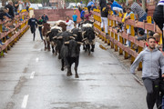 IMG-0012