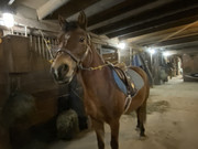 D40DCE30-541C-4B78-9DAD-2E2CFE4DF467