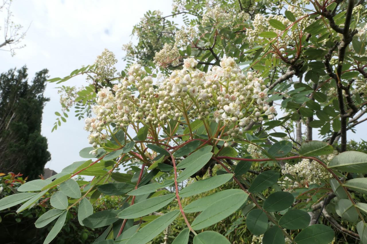P1040539