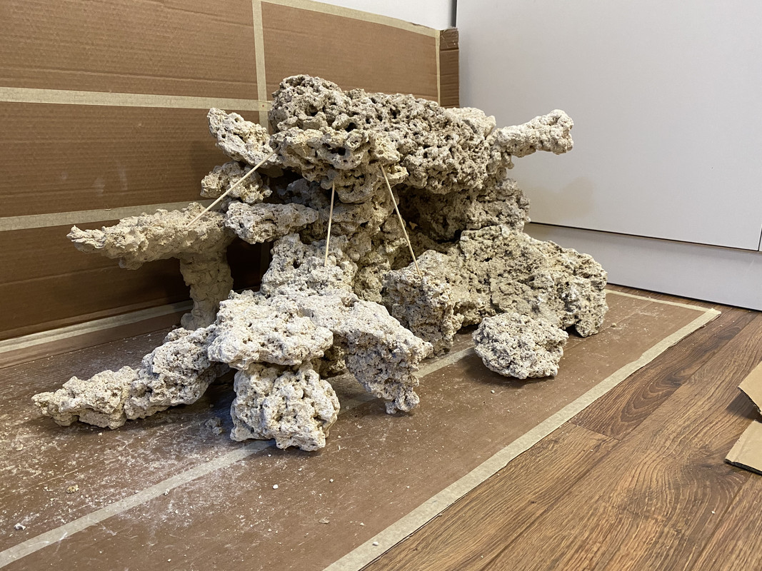 11D2EA43-67E4-43CE-B5E2-60BA11A5CAF2