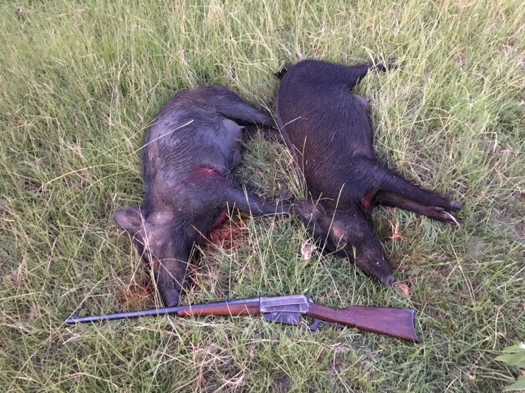 E454ABE2-48ED-46AD-841E-EE722BAAAA7F