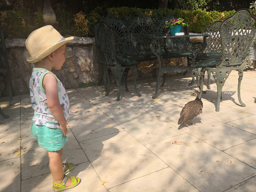 [Obrazek: IMG_20190729_104555.jpg]