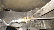 P-20210501-122230-p.jpg