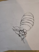 IMG-20240228-132155040