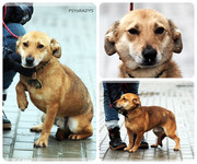 Be-Funky-collage-17.jpg&key=be7cc9104b12