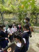 photo-littlefarmer2223-1B-007