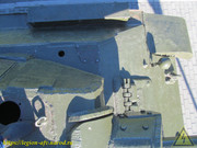 IMG-5556