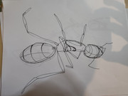 IMG-20240228-132202217