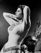 sophia-loren-664