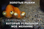 8e5c760d5d441136ea9f0a9102ecb465.jpg