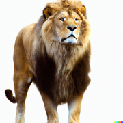 DALL-E-Photo-of-a-lion-White-background